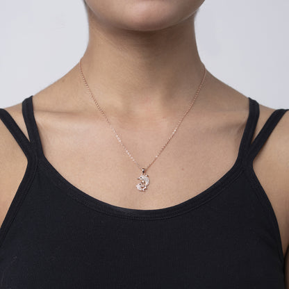 Dolphin 925 sterling silver chain Pendant